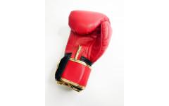 Боксерские перчатки Raja Snake red 12 oz