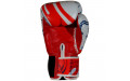 Боксерские перчатки Twins Special FBGVL4-67 Yant 12 oz