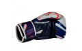 Боксерские перчатки Twins Special FBGVL4-67 Yant 16 oz