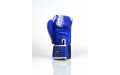 Боксерские перчатки TWINS Special FBGVL3-49 blue 10 oz