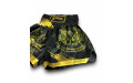 Шорты для бокса Blegend black/gold M