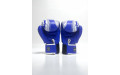 Боксерские перчатки TWINS Special FBGVL3-49 blue 16 oz