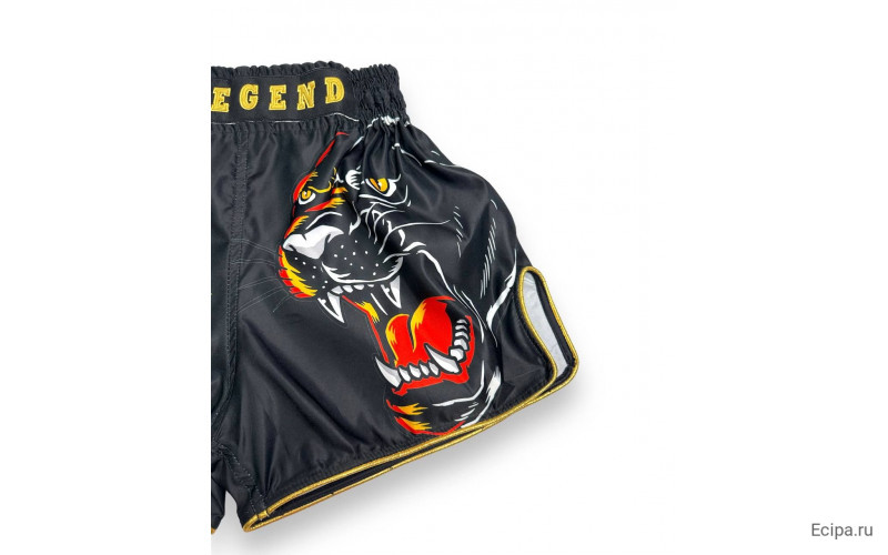 Шорты для бокса Blegend Magic Tiger L