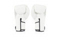 Боксерские перчатки BGV6 white 16 oz