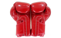 Боксерские перчатки BGV6 red 12 oz