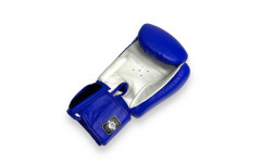 Боксерские перчатки Twins Special FBGVL3-6 blue white 14 oz