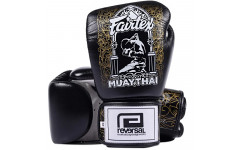 Боксерские перчатки Fairtex BGV premium Reversal 10 oz