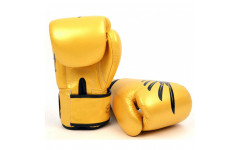 Боксерские перчатки Fairtex BGV1 Falcon 12 oz Боксерские перчатки Fairtex BGV1 Falcon 12 oz