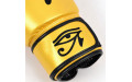 Боксерские перчатки Fairtex BGV1 Falcon 12 oz