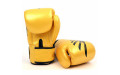 Боксерские перчатки Fairtex BGV1 Falcon 14 oz