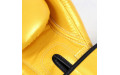 Боксерские перчатки Fairtex BGV1 Falcon 14 oz