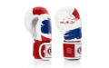 Боксерские перчатки Fairtex BGV1 Thai PriDe 12 oz