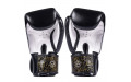 Боксерские перчатки Fairtex BGV premium Reversal 16 oz