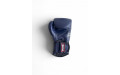 Боксерские перчатки Twins Special BGVL6 Navy/Navy 14 oz