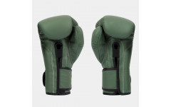 Боксерские перчатки Fairtex BGV11 F-DaY 12 oz