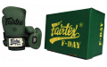 Боксерские перчатки Fairtex BGV11 F-DaY 12 oz