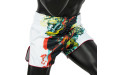 Шорты для бокса Fairtex BS1908 (белый) S