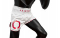 Шорты для бокса Fairtex BS1918 S