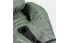 Боксерские перчатки Fairtex BGV11 F-DaY 14 oz Боксерские перчатки Fairtex BGV11 F-DaY 14 oz