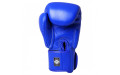 Боксерские перчатки Twins Special BGVL3 blue 8 oz