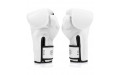 Боксерские перчатки Fairtex BGV14 white 12 oz