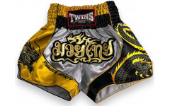Шорты для бокса Twins Special TBS DRAGON-1 L