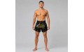 Шорты для бокса Fairtex BS1947 - S