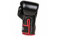 Боксерские перчатки Fairtex BGV14 black 14 oz