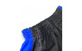 Шорты для бокса Blegend Powerhous black blue - S