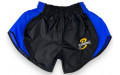 Шорты для бокса Blegend Powerhous black blue - S