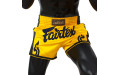 Шорты для бокса Fairtex BS1701 (желтый) XL Шорты для бокса Fairtex BS1701 (желтый) XL