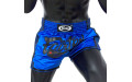 Шорты для бокса Fairtex BS1702 (синий) 2XL
