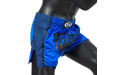 Шорты для бокса Fairtex BS1702 (синий) 2XL