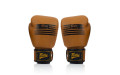 Боксерские перчатки Fairtex BGV21 LEGACY 14 oz