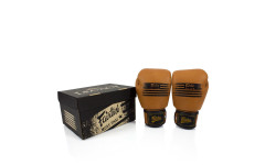 Боксерские перчатки Fairtex BGV21 LEGACY 12 oz