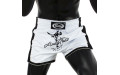 Шорты для бокса Fairtex BS1707 (белый) S Шорты для бокса Fairtex BS1707 (белый) S