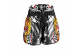 Шорты для бокса Twins Special TBS Barong S