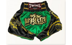 Шорты для бокса Twins Special TBS Dragon 3 L