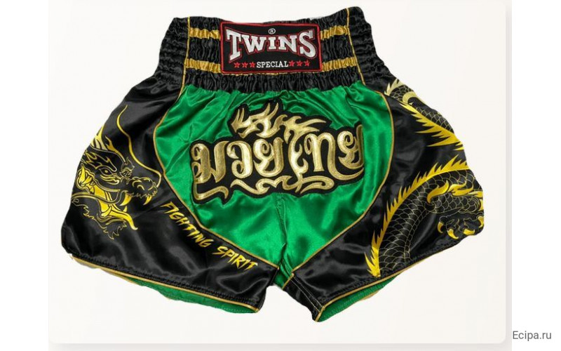 Шорты для бокса Twins Special TBS Dragon 3 L
