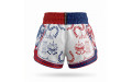 Шорты для Muay Thai Twins Special TBS Yant 2XL