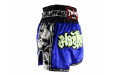 Шорты для бокса Twins Special TBS skull blue L