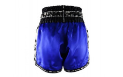 Шорты для бокса Twins Special TBS skull blue XL