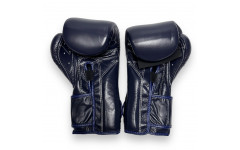 Боксерские перчатки Fairtex BGV9 blue 12 oz