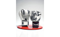 Боксерские перчатки TWINS FBGVL3-49 white black 10 oz