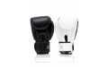 Боксерские премиальные перчатки Fairtex BGV24 12 oz