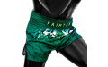 Шорты для бокса Fairtex BS1913 XL Шорты для бокса Fairtex BS1913 XL