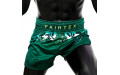 Шорты для бокса Fairtex BS1913 XL