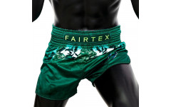 Шорты для бокса Fairtex BS1913 XL