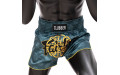 Шорты для бокса Fairtex BS1915 L