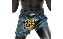 Шорты для бокса Fairtex BS1915 L